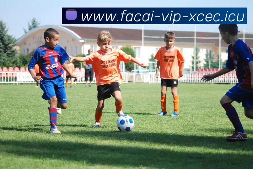 米兰体育注册品牌故事